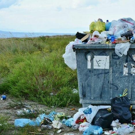Tipps zur Abfallvermeidung für Kitas und Schulen