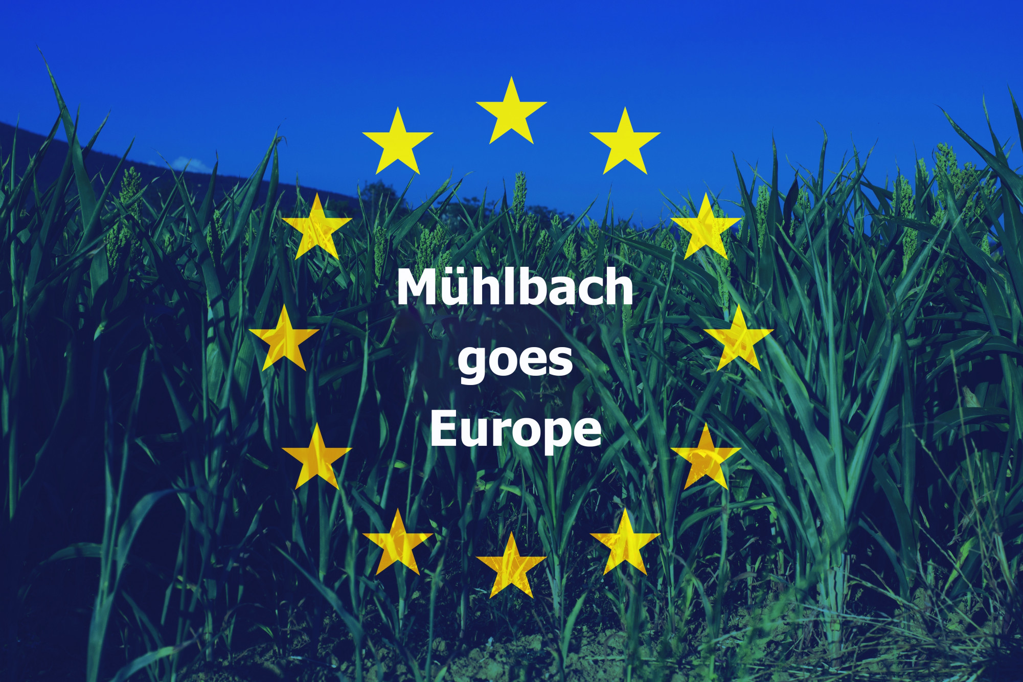 Plakat Demokratie-Planspiel, Abbildung einer Wiese unter blauem Himmel, darauf die Sterne der Europaflagge